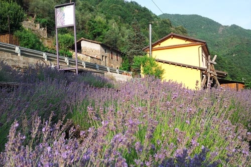 Immagine dell'azienda Antica distilleria Cugge - clic per ingrandire.