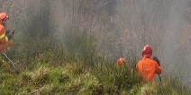 Cessazione dello Stato di grave pericolosità per gli incendi boschivi