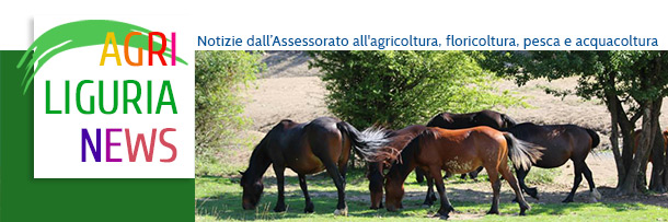 Newsletter Agriligurianews