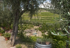Società agraria Buranco