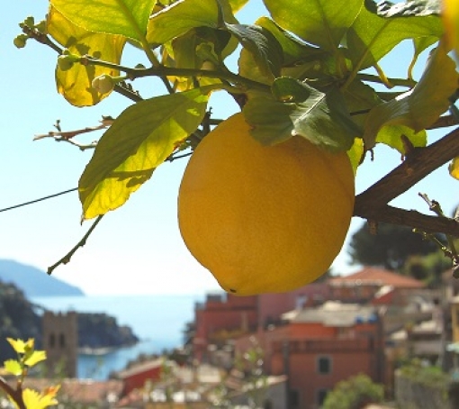 Immagine del prodotto. Immagine del prodotto.