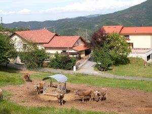 Lavagè