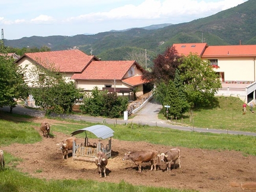 Immagine dell'azienda Lavagè - clic per ingrandire.