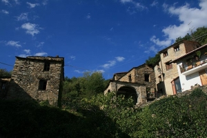 Sciu Pepin