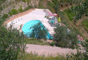 Gli ulivi di Montalbano