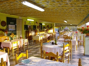 L&#039;arca tra gli ulivi