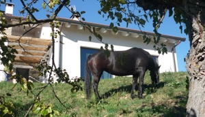 La Ratatouille Agriturismo e Fattoria didattica