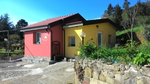 Bartolucci