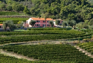 Valcrosa