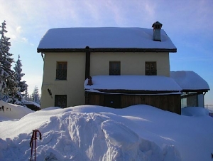 La maliarda