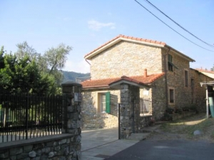 Gli ulivi