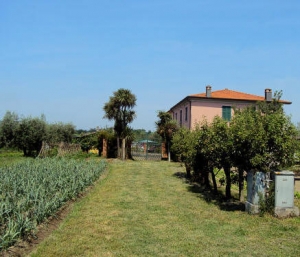 Iacovino