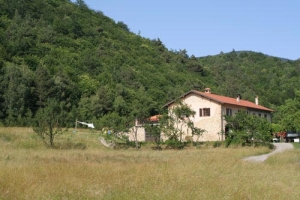 La brinetta