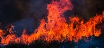 Stato di grave pericolosit&agrave; per gli incendi boschivi