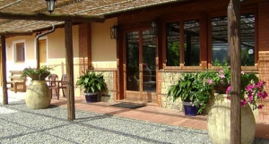 Magauda
