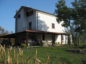 La noce