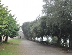 Leccio