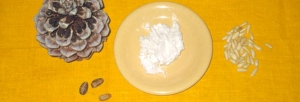 immagine: salsa di pinoli