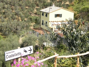Costelletta