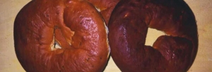 immagine: canestrello di Brugnato
