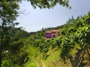 Cinque Terre