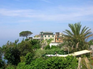 Barrani Fabio