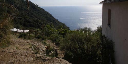 Immagine dell'azienda Agririfugio Molini - clic per ingrandire.