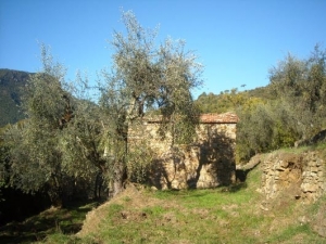 Il bausco