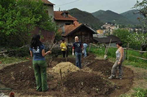 Immagine dell'azienda Artemisia - clic per ingrandire.