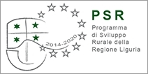 Nuovo Psr: ottime notizie