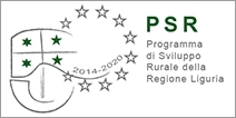 Nuovo Psr: ottime notizie