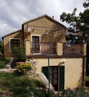 Il cerro
