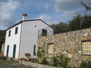 Il terebinto