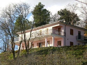 La tana degli orsi
