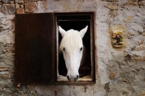 Samuele Ranch