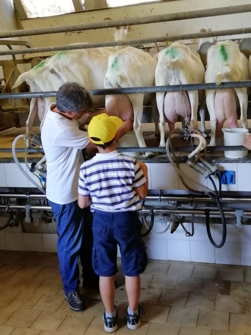 Immagine dell'azienda Coop allevatori bestiame C.A.B. - clic per ingrandire.