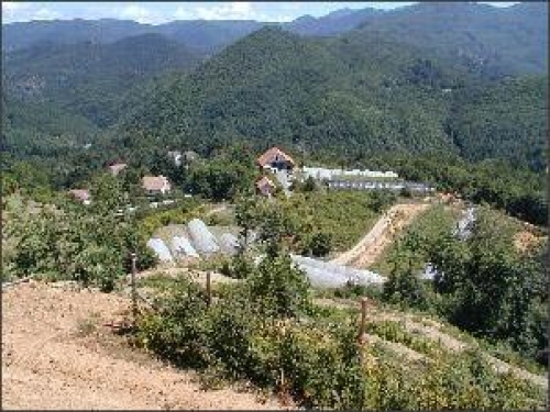 Immagine dell'azienda Dalpian Il Sottobosco - clic per ingrandire.