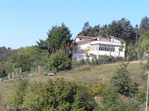 Alpicella