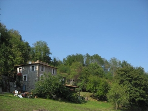 Agricella