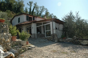 La lupa