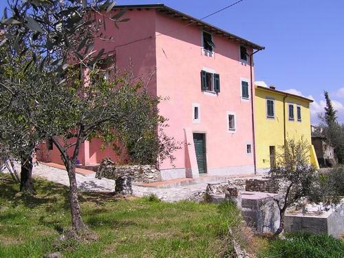 Immagine dell'azienda Il giardino - clic per ingrandire.