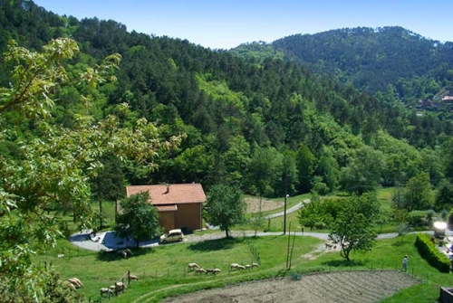 Immagine dell'azienda Pavì delle Cinque Terre - clic per ingrandire.