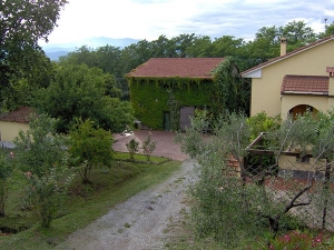 La volpe e l&#039;uva