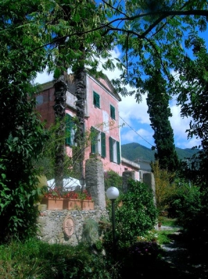 L&#039;erba persa