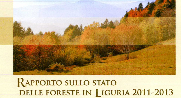 foreste
